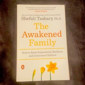 The Awakened Family book